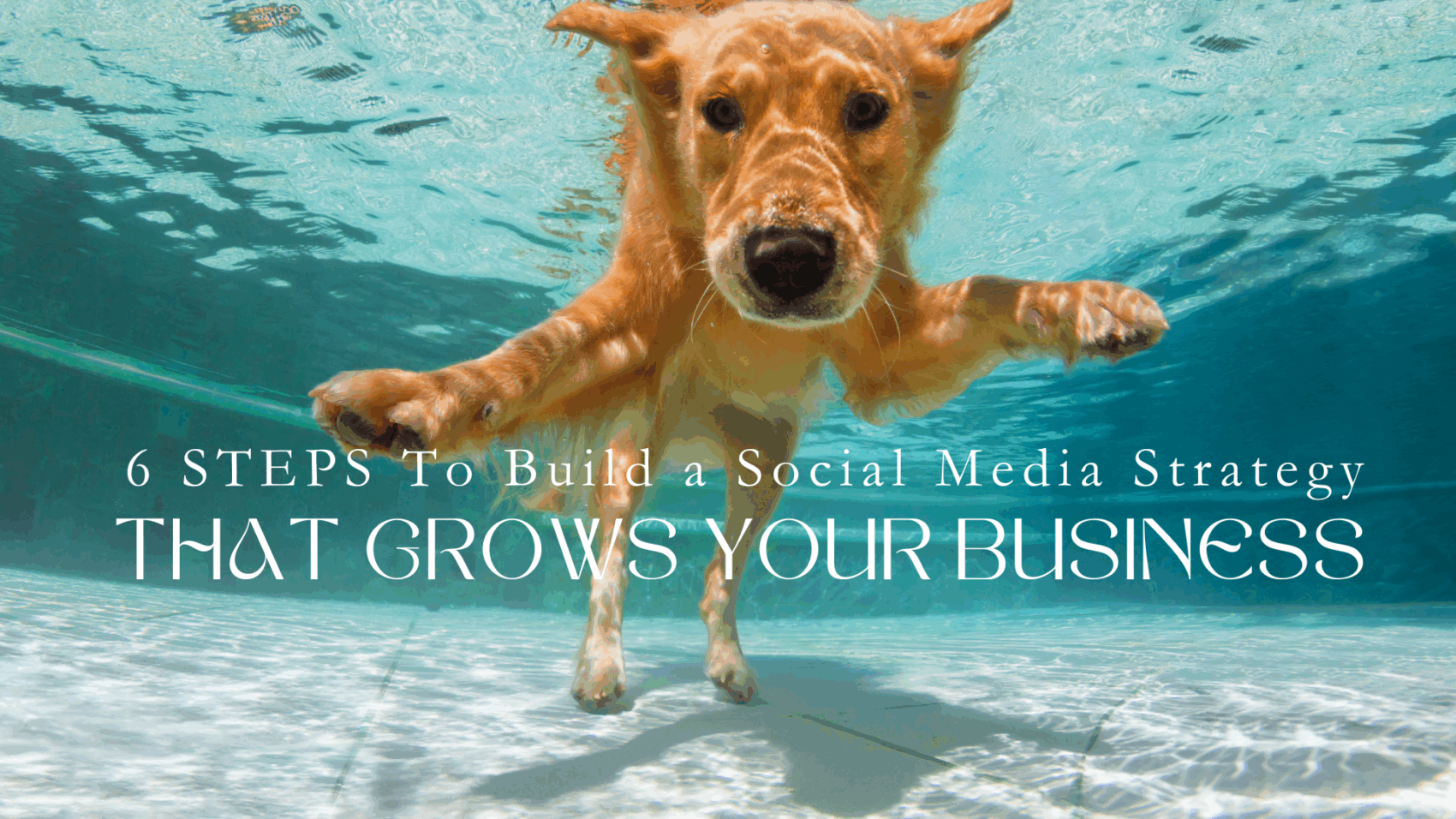 6 Steps to Build a Social Media Strategy That Grows Your Business