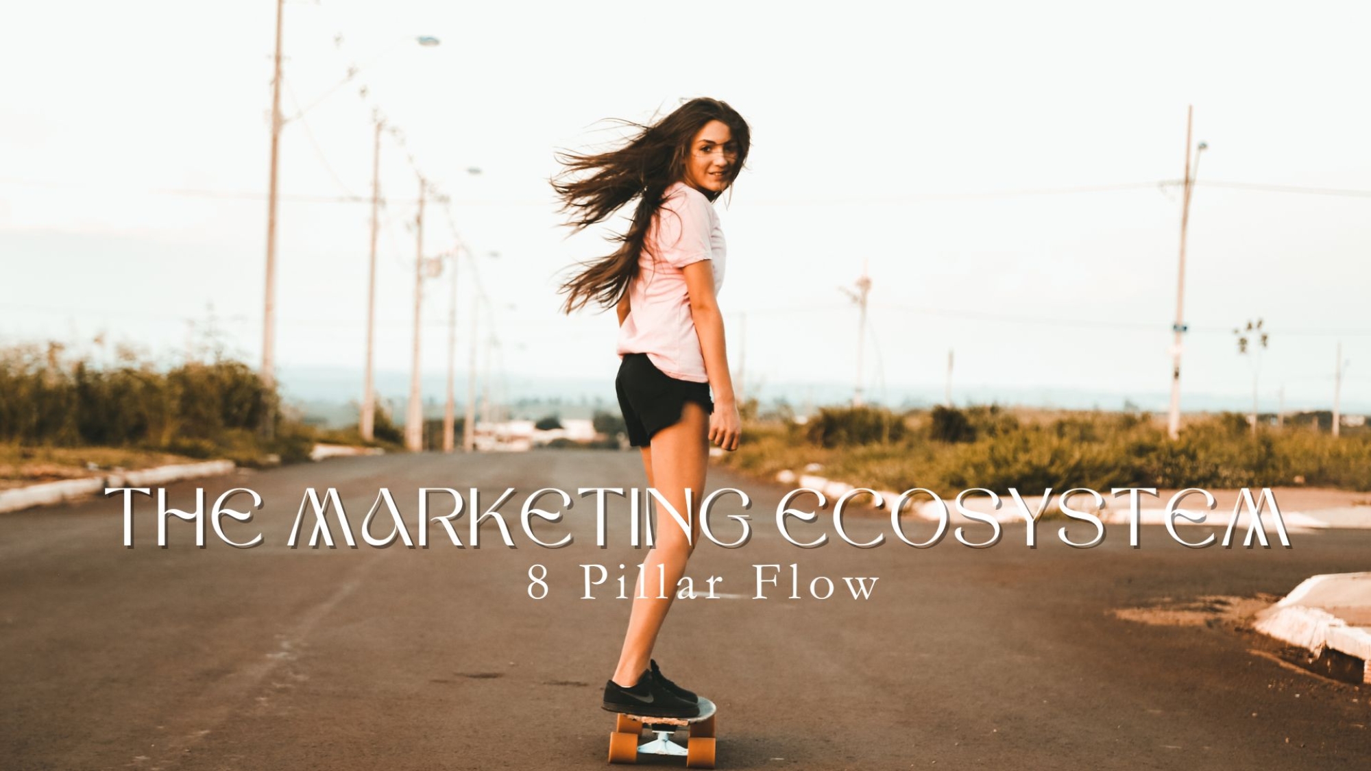 8 Pillare Marketing Eco System