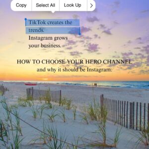 Instagram vs TikTok: The Definitive Guide to Choosing Your Hero Channel