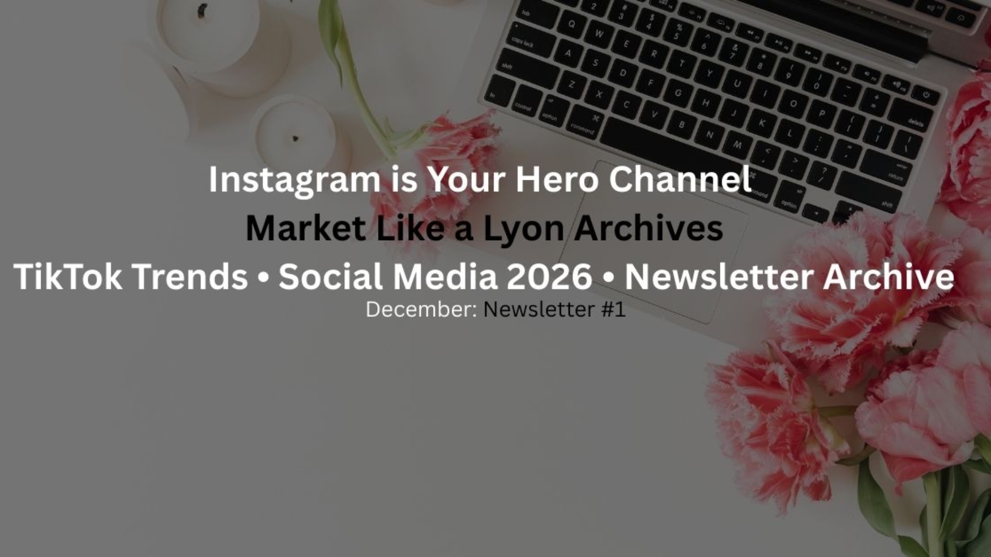 Instagram Hero Channel Strategy, TikTok Trends Discovery, and Social Media 2026 Predictions