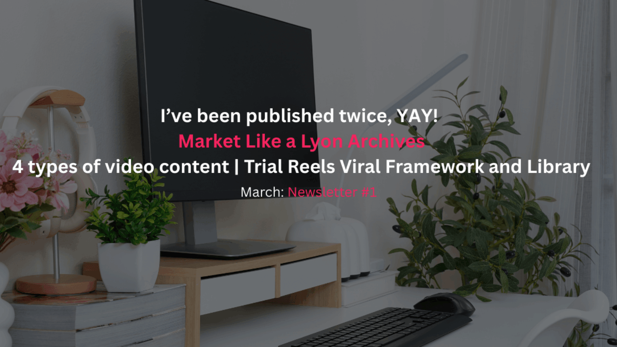 Newsletter archives March #1, I've been published, Insta videos, viral framework
