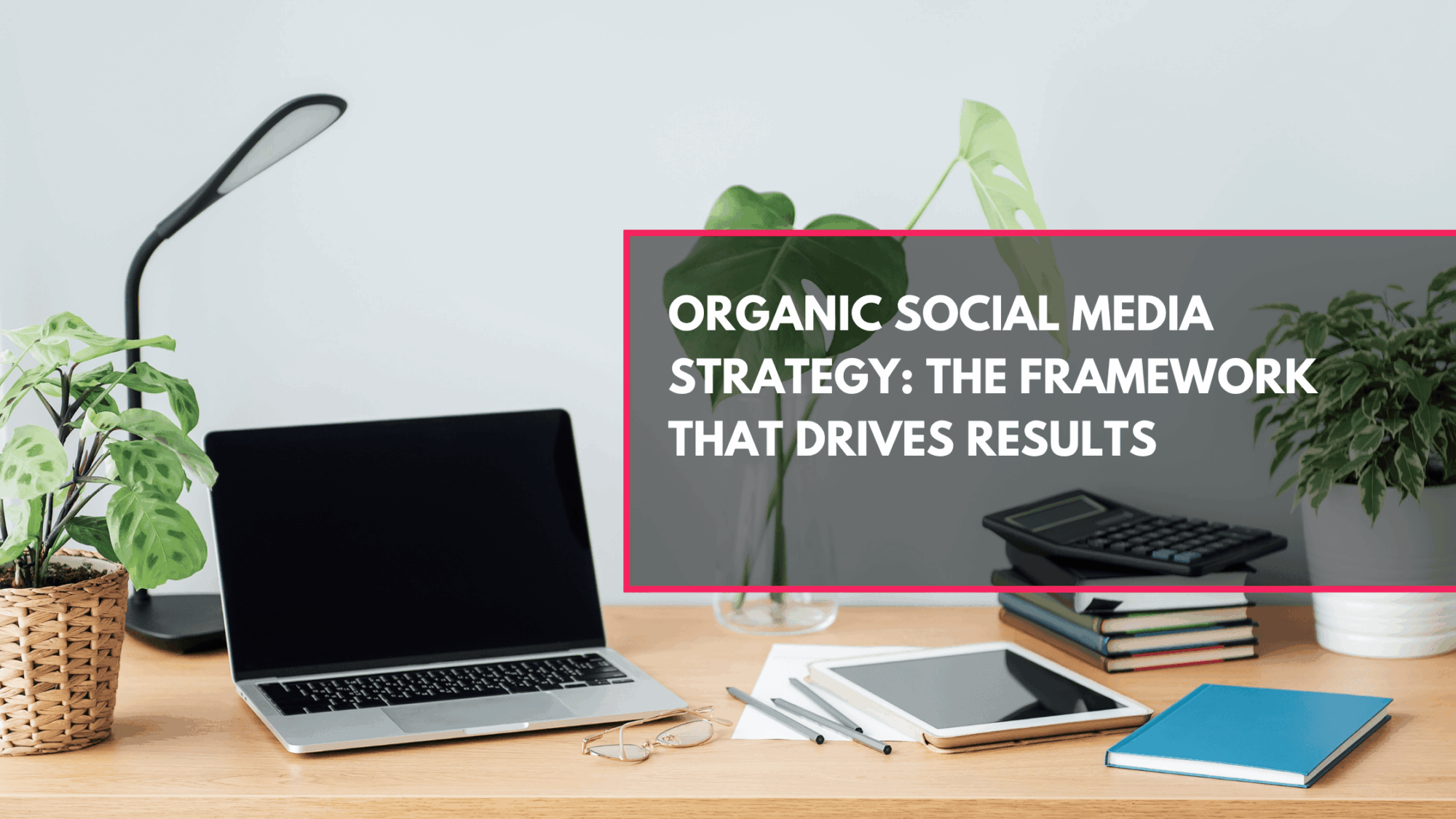 Organic Social Media Strategy: The Framework That Drives Results