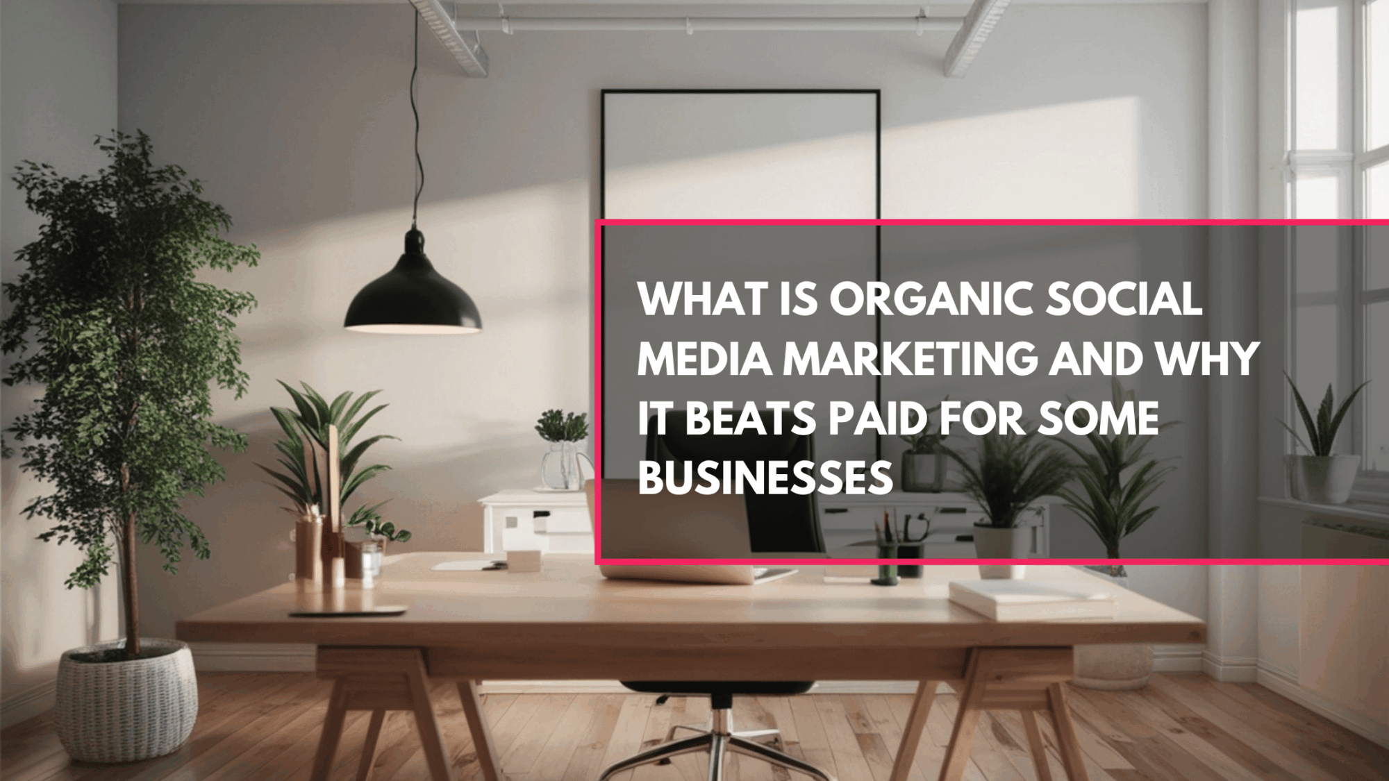Organic social media marketing builds audiences, generates leads, and grows your business without ad spend. Here's what it is, how it works, and whether it's the right strategy for you.