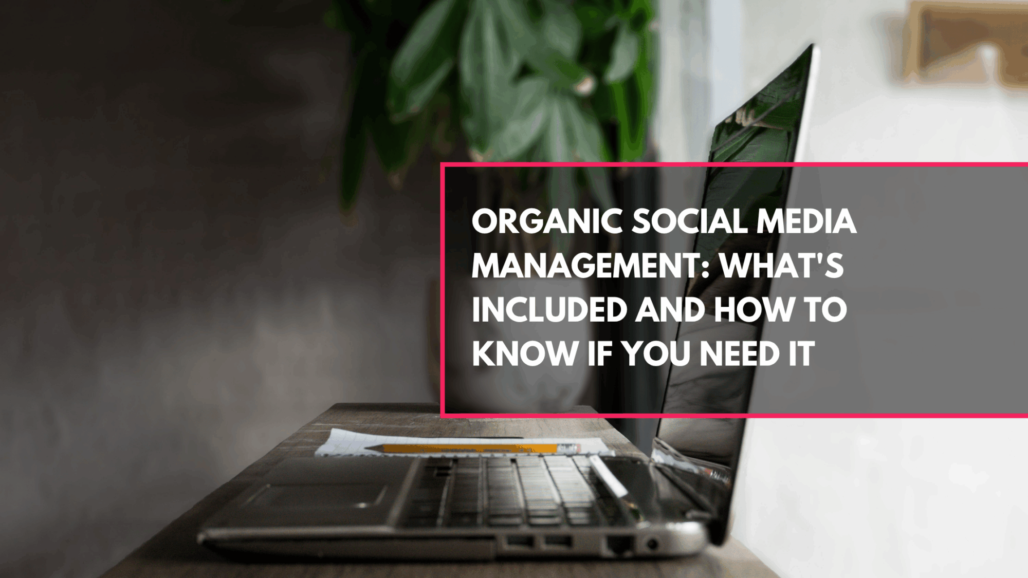 Discover what professional organic social media management actually includes, what it does not, and the clear signs your business needs it. Plus: what happens when a post goes viral and you are not prepared.