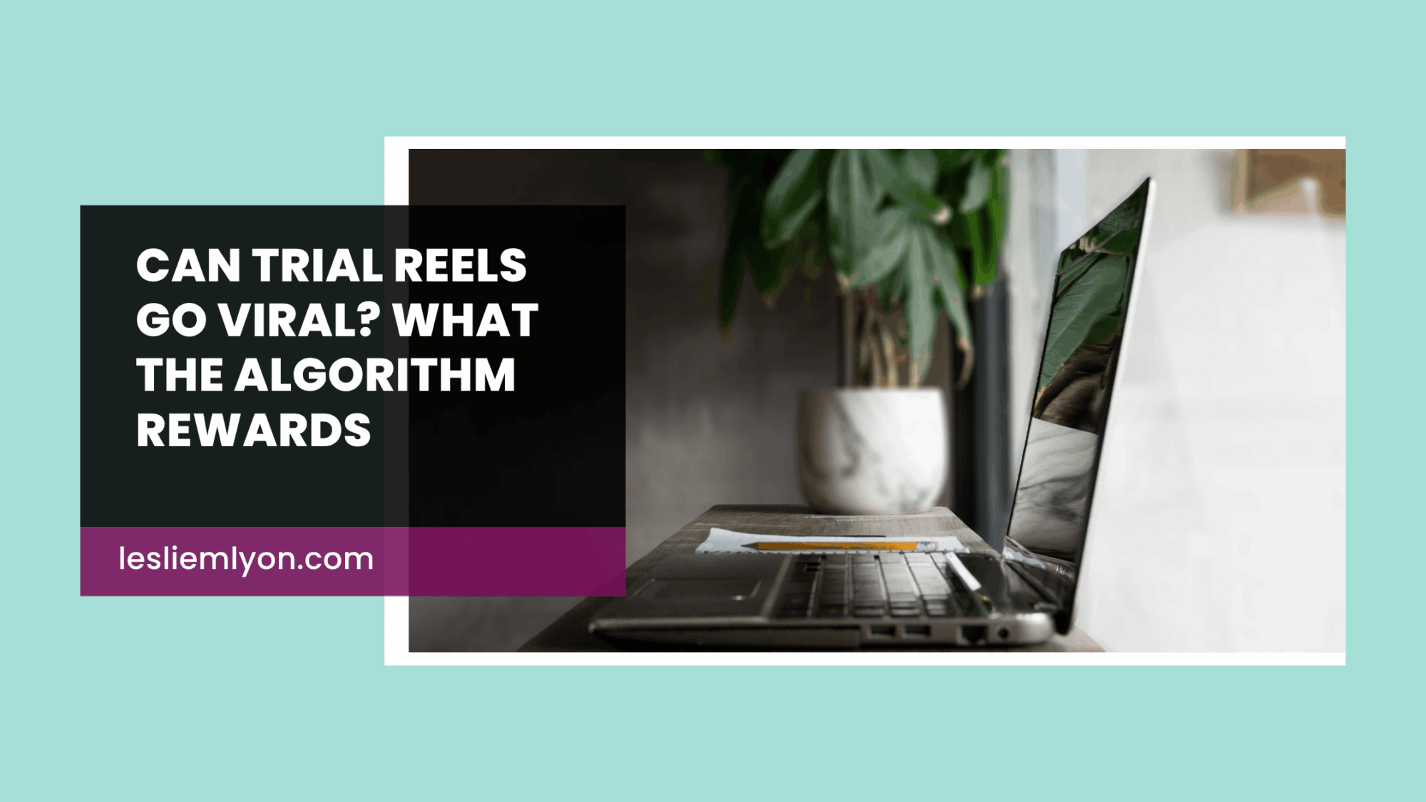 Can Trial Reels Go Viral? What the Algorithm Rewards